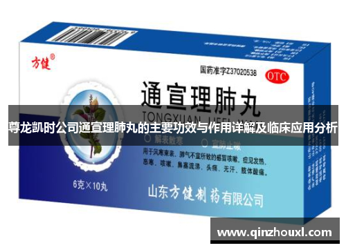 尊龙凯时公司通宣理肺丸的主要功效与作用详解及临床应用分析