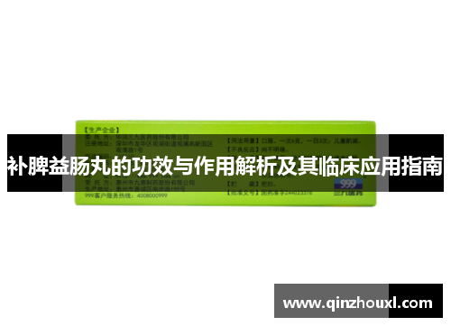 补脾益肠丸的功效与作用解析及其临床应用指南