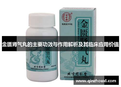 金匮肾气丸的主要功效与作用解析及其临床应用价值